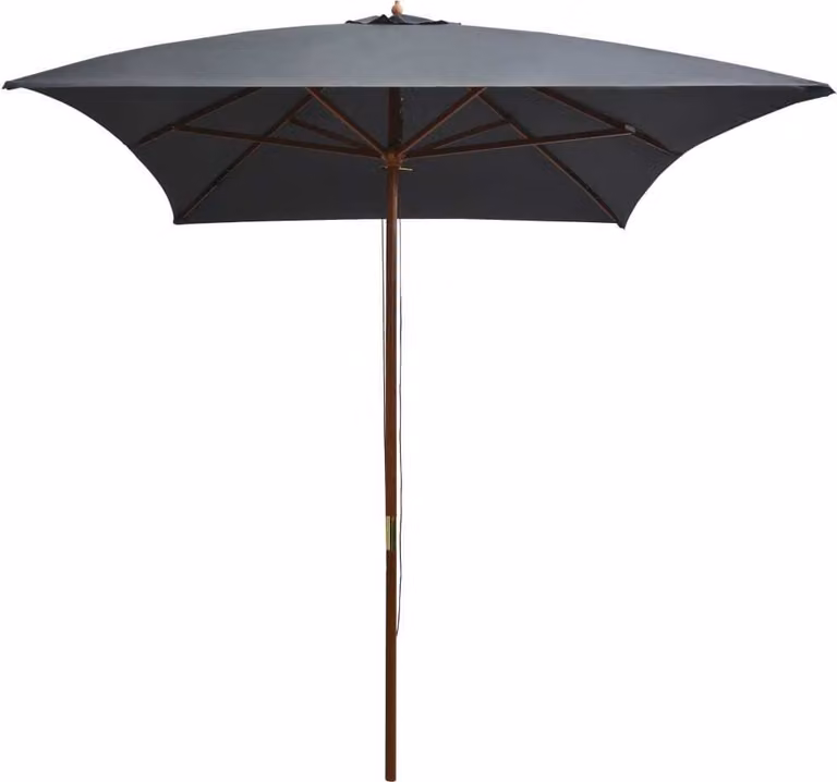 Ombrellone da Esterni con Palo in Legno 200x300 cm Antracite
