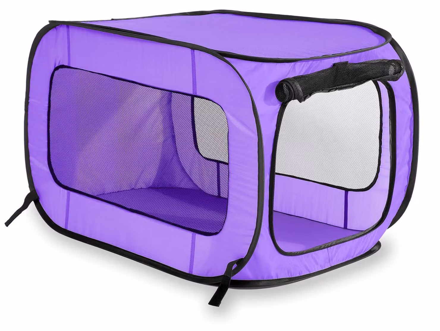 Beatrice Home Fashions SOLPPK00PUR, cuccia portatile pieghevole per animali domestici
