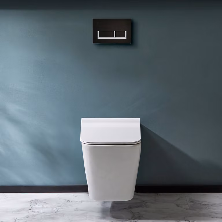 Sanitario WC Sospeso con Telaio Alto - Placca di Comando Rettangolare Bianca/Cromata - Sandford