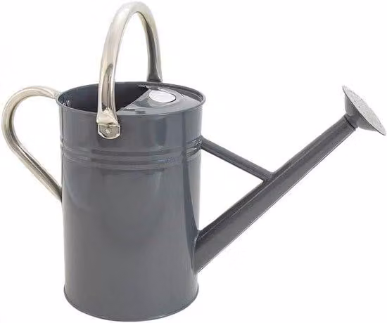 Classica vasca da giardino in acciaio inossidabile grigio da 45 litri.