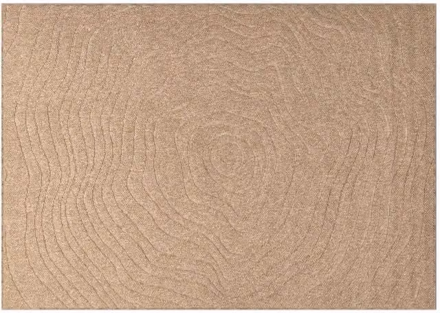 Tappeti per area | Tappeti a zone Moir¨¦ AGIRA Naturale 340 x 240 cm Poliestere