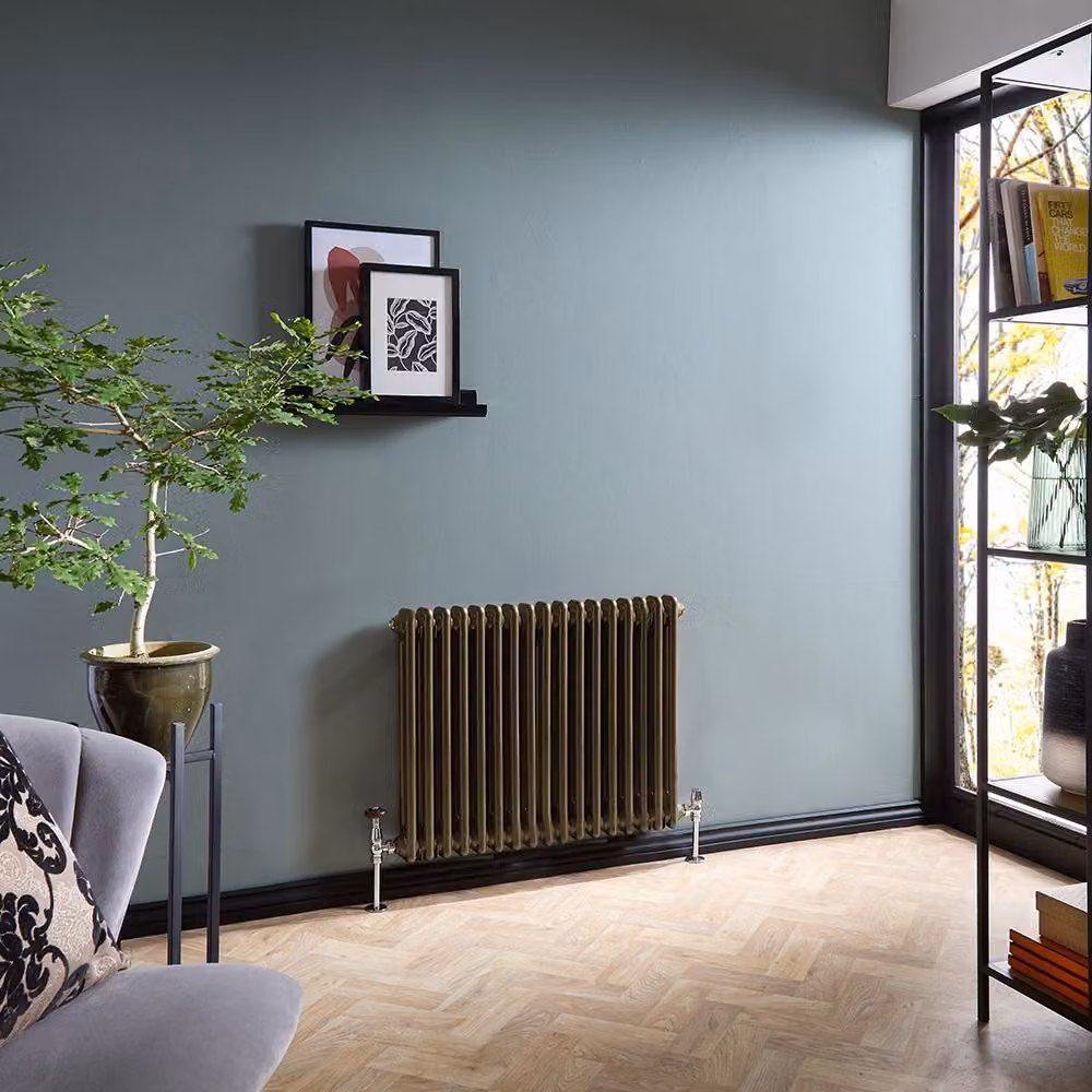 Radiatore Tradizionale a Doppia Colonna Orizzontale - Bronzo Metallizzato - 600mm x 785mm - Regent