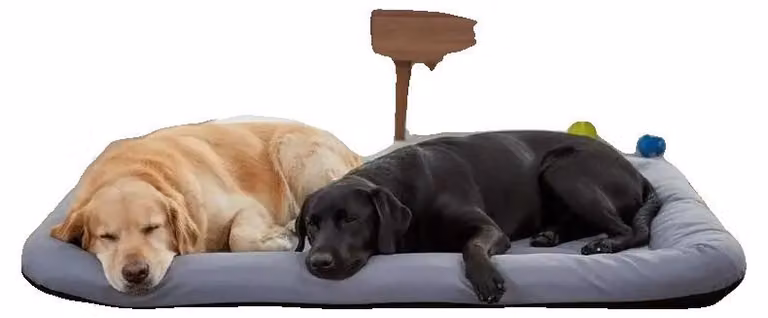Cuccia per cani, impermeabile, realizzata con schiuma ortopedica, come da immagine