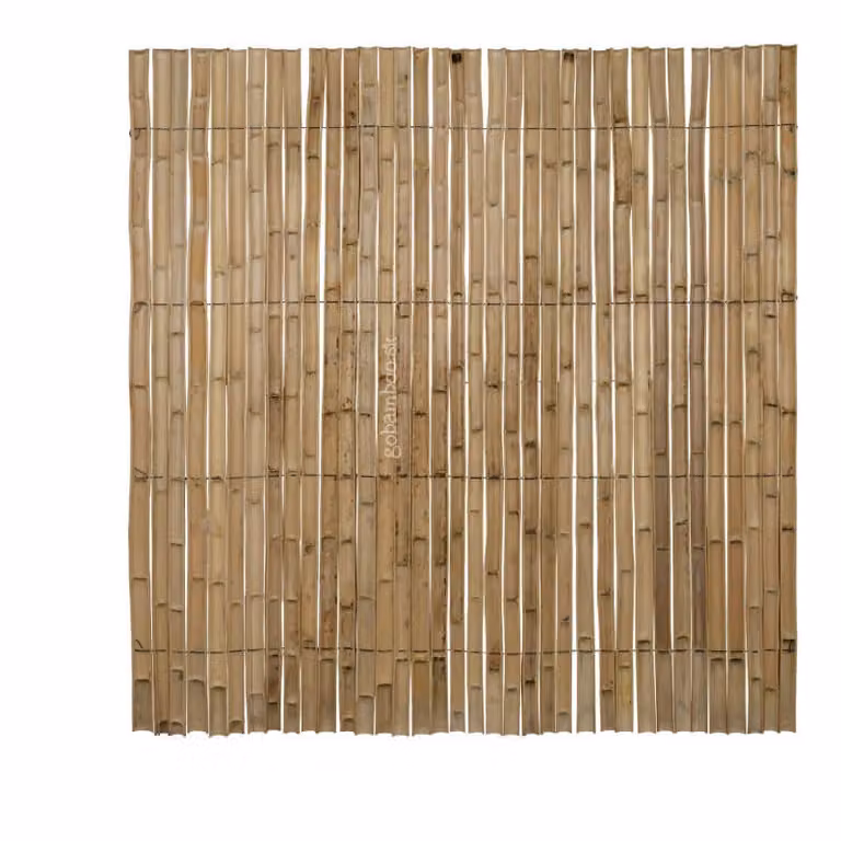 Rotolo di bambù naturale semicircolare Moso 180 x 180 cm (recinto di bambù)