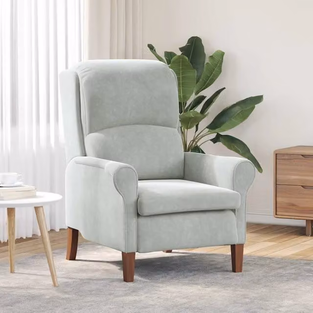 Poltrona-Divano Sedia-Poltroncina Grigio chiaro Velluto 266295