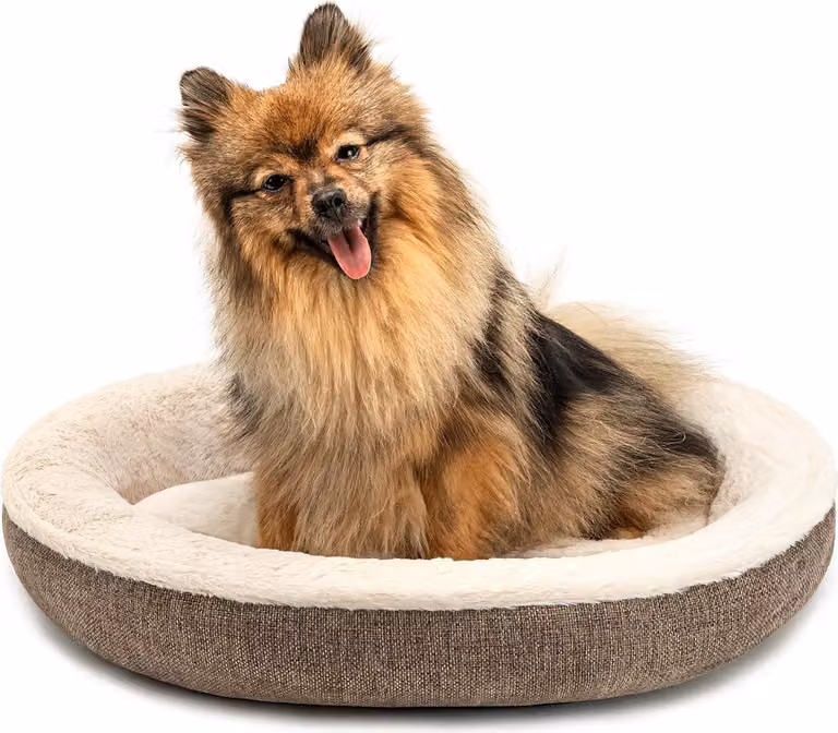 cuccia per cani lionto in morbido design a ciambella con base in peluche e antiscivolo, rivestimento lavabile, diametro 55 cm, marrone