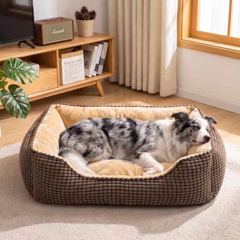 Cuccia per cani, lavabile, colore marrone, dimensioni 76x61x23 cm