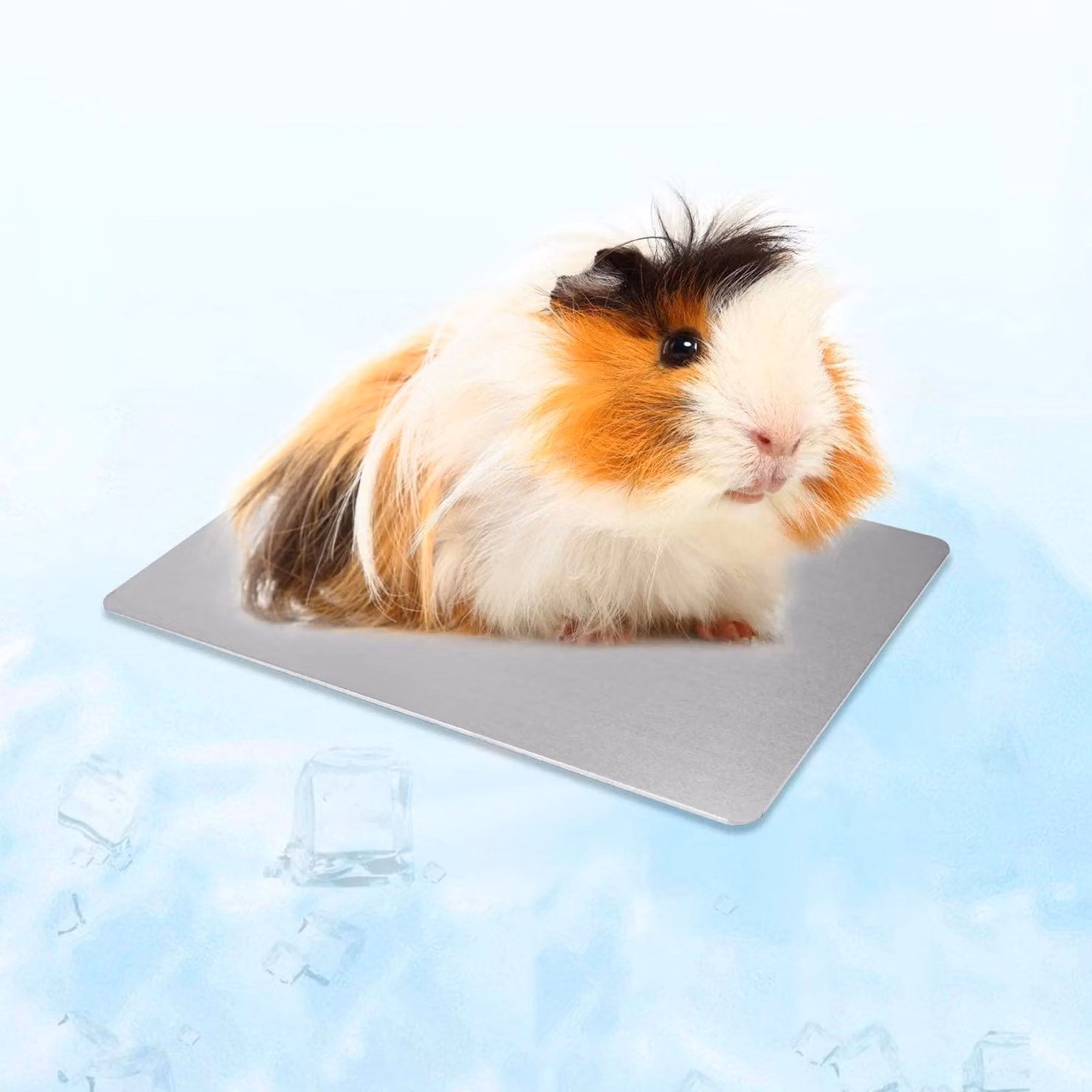 Tappetino refrigerante per piccoli animali, anti-colpo di calore, in alluminio, 12 x 8 cm