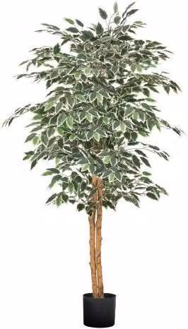 Albero di Ficus Artificiale VEVOR con Vaso Nero, Pianta Finta con Tronco in Legno Naturale e Foglie Verdi Realistiche per Interni, Altezza: 152,4 cm