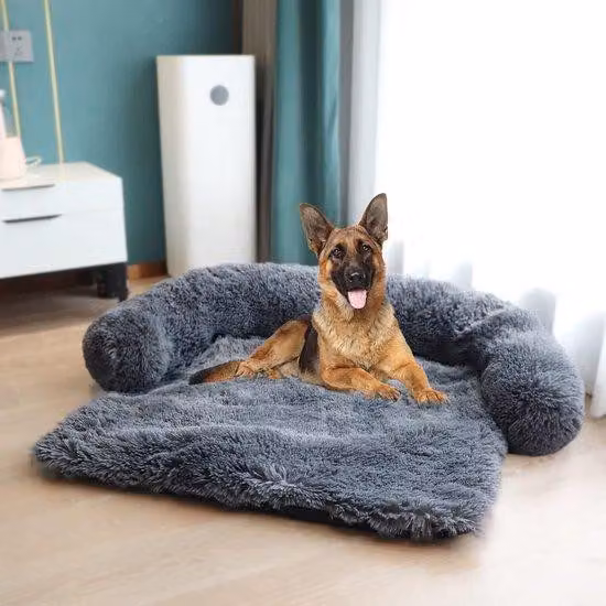 Cuccia per cani grigia di medie dimensioni con cuscino per il collo, lavabile, imbottitura in schiuma