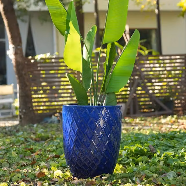 Fioriera a più livelli OKWISH in ceramica fatta a mano per piante grandi da interno e giardino, colore blu reale, L: 54 cm, P: 54 cm, H: 42 cm