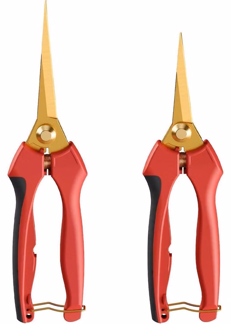 Set di 2 forbici da giardino con lame rivestite in titanio, ideali per bonsai, piante, fiori, frutta e verdura