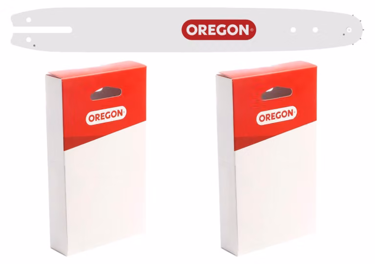 Oregon Standard Combo barra di guida + 2x catena di taglio 30 cm 3/8" LP 1,3 mm 44 TG ( 567295 )