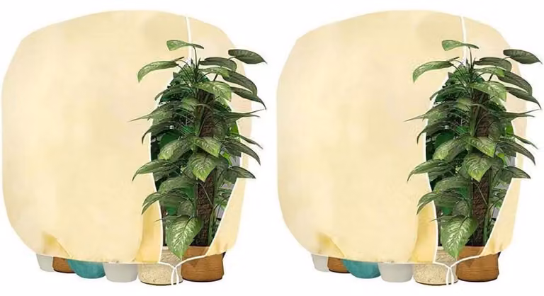 Copertura protettiva per piante, 160x180 cm, color beige, confezione da 2 pezzi