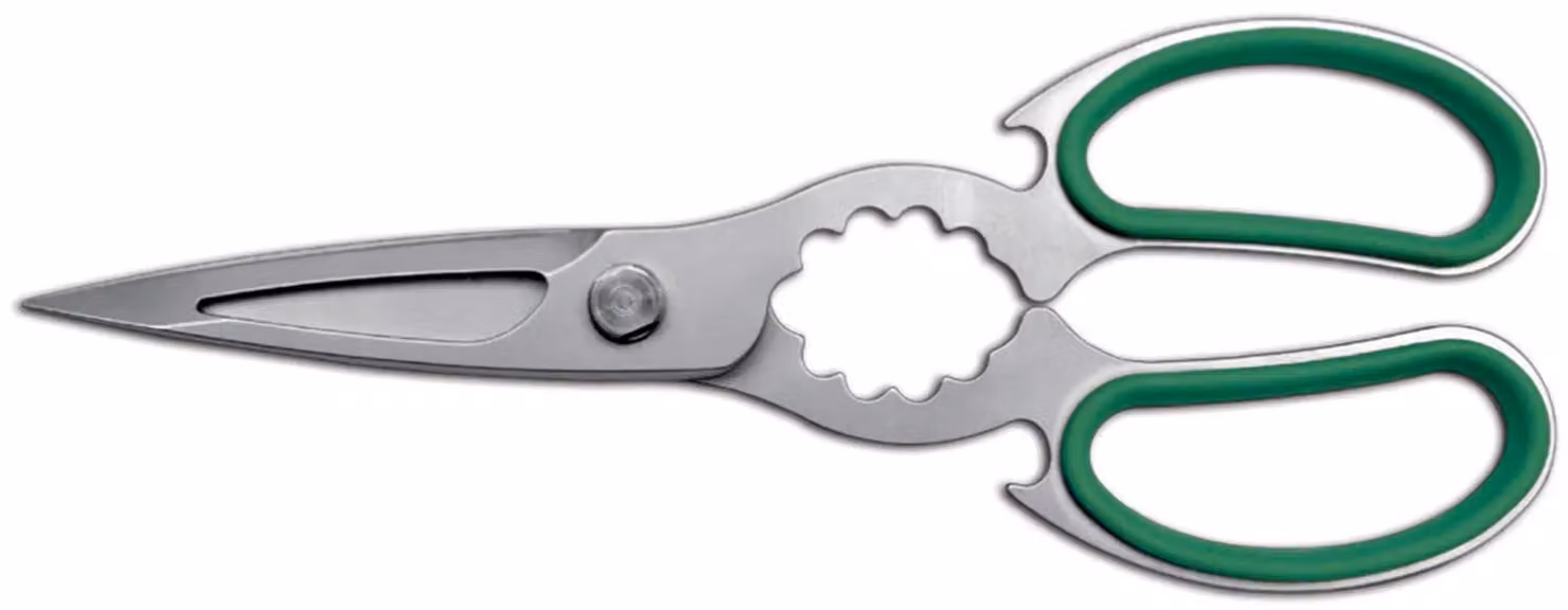 Forbici cucina, inox sabbiata cm 24 - verde di Sanelli Ambrogio