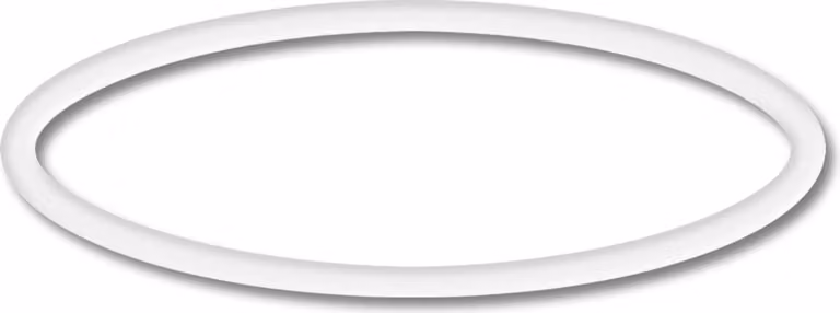 Ricambio SunSun per pompa piscina O-ring 2, potente sistema di filtraggio per piscina, pompa filtro ad alta portata, robusta pompa per piscina