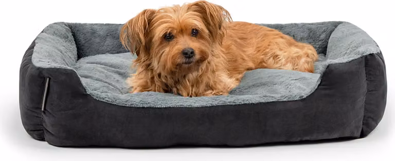 lettino per cani lionto, morbido lettino con cuscino reversibile rimovibile e base antiscivolo, 75x60 cm, nero/grigio