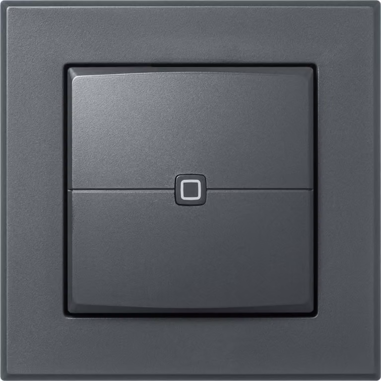 Homematic IP 159891A0, cavo, nero, 2 canali, pulsanti, IP20, corrente continua (DC)