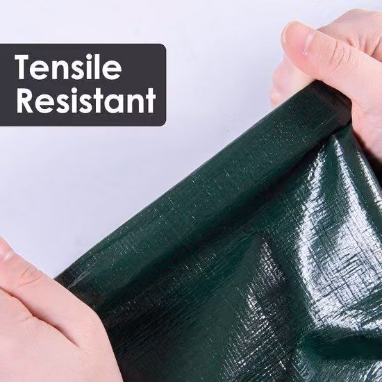 Telo protettivo impermeabile, 5x6 m, 150 g/m², PE, resistente ai raggi UV, resistente all'abrasione, verde