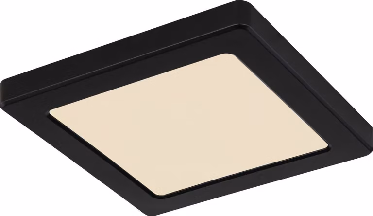 LED 12W LASSE Plafond 12380-12B Globo