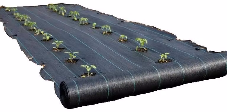 Tessuto non tessuto per controllo delle erbacce, geotessuto in polipropilene permeabile, dimensioni 1,2 m x 30,5 m, superficie di copertura 36,6 m², densità 164 g/m², elevata permeabilità