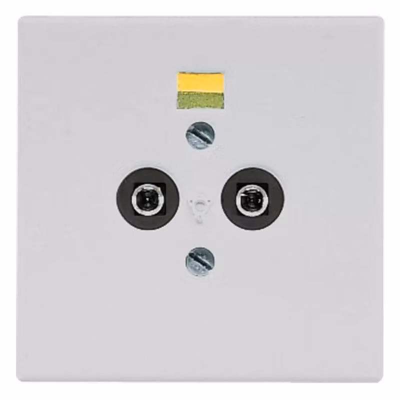 Jung LS965-2LG, presa di corrente per l'equipotenzializzazione, colore grigio chiaro