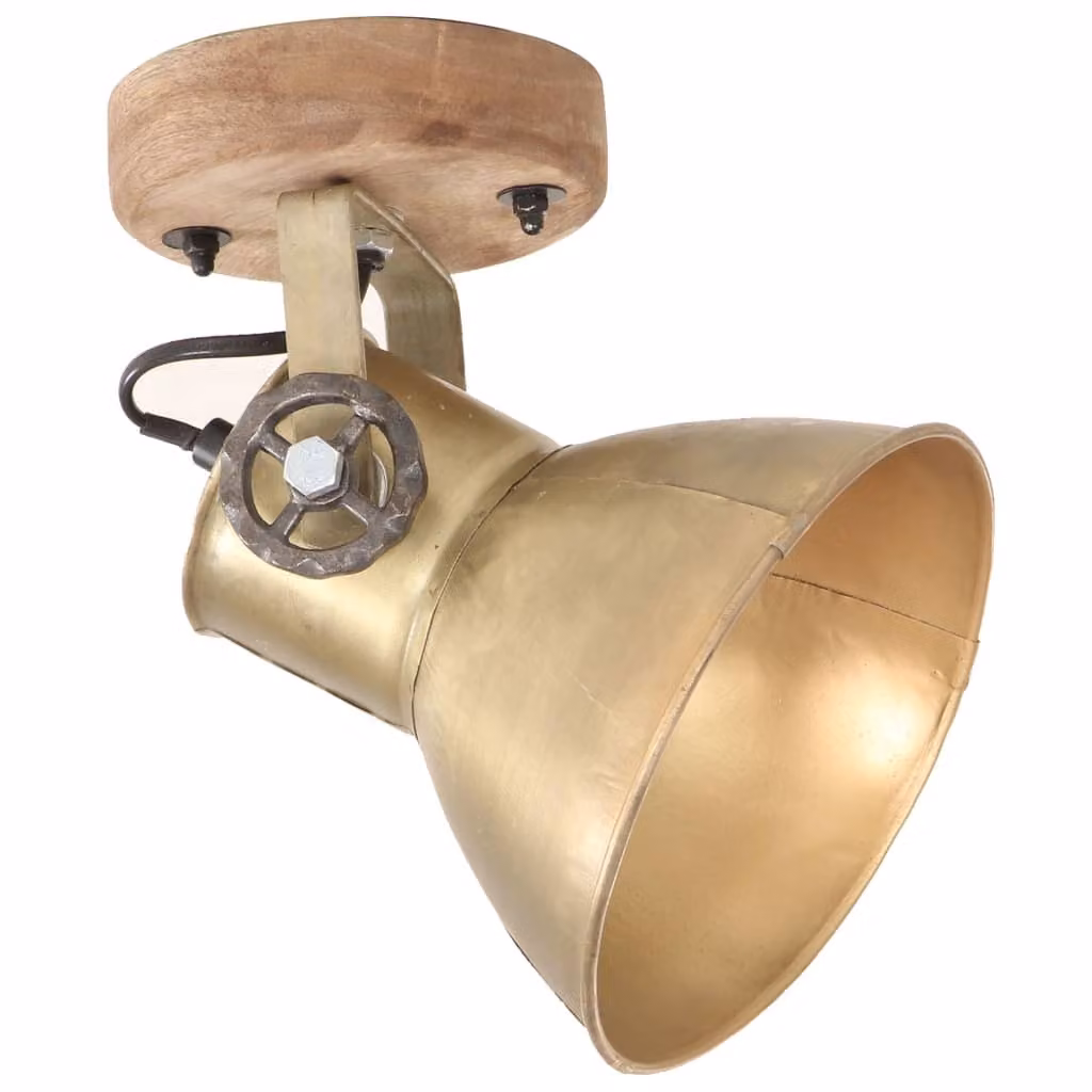 vidaXL Lampade da parete/soffitto in stile industriale 2 pezzi ottone 20x25 cm E27