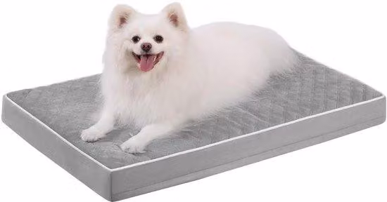 Cuccia ortopedica per cani di piccola taglia, cuscino per cani 73x45x7 cm, tappetino lavabile, cuscino rimovibile, grigio
