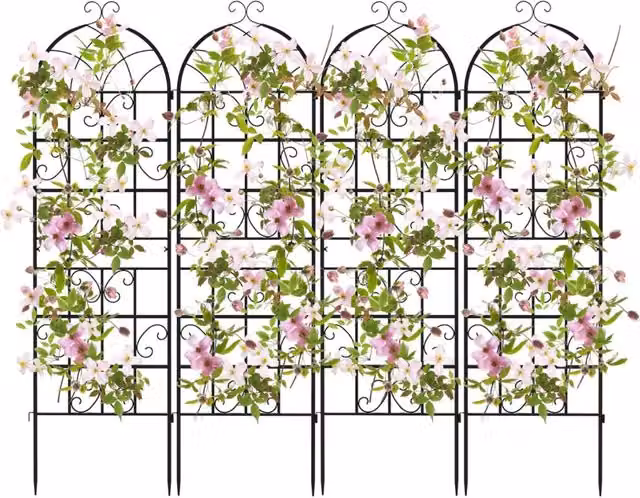 Set di 4 pergole decorative da esterno in acciaio nero per piante rampicanti, fiori e ortaggi, arco da giardino H: 180 cm, L: 50 cm, P: 50 cm