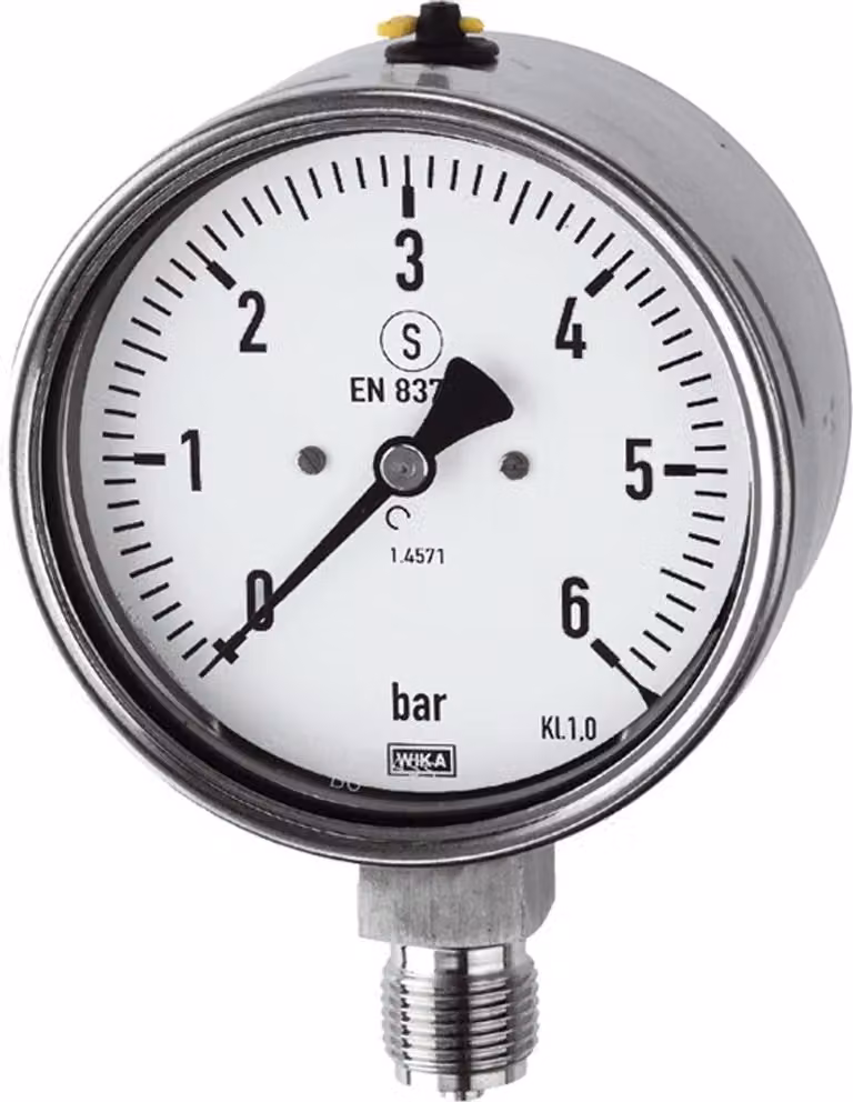 Riegler Mano, acciaio inox, sicurezza, G 1/4 fondo radiale, -1/0,0 bar, Ã˜ 63