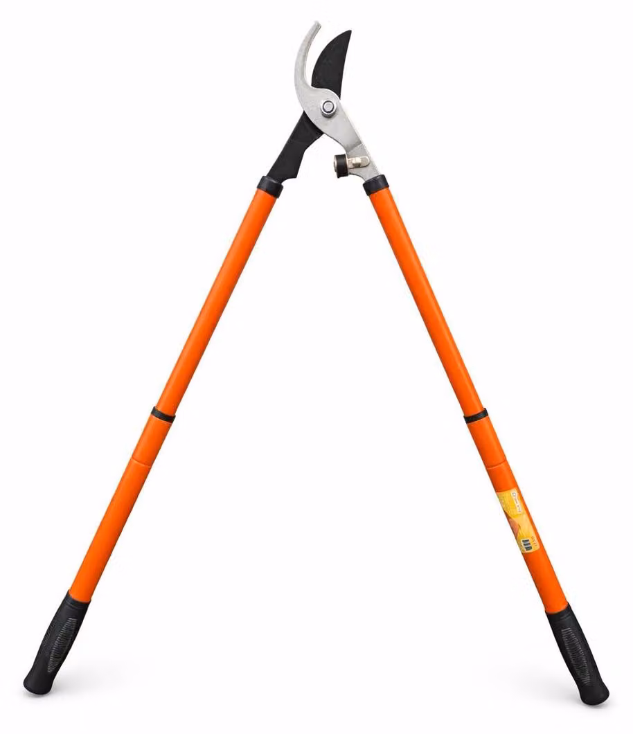 Forbice da potatura per rami - telescopica, lunghezza 57-84 cm