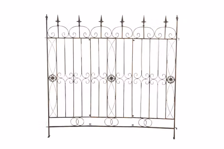Recinzione da giardino bietola