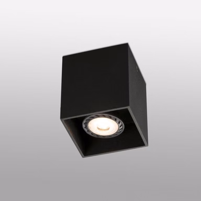 Plafoniera nera Tecto 1 lampadina
