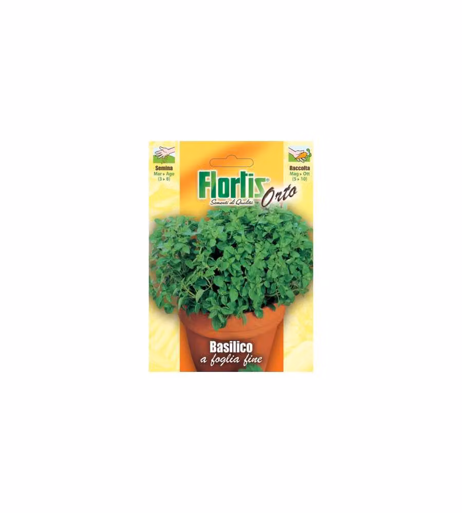 Basilico a Foglia Fine