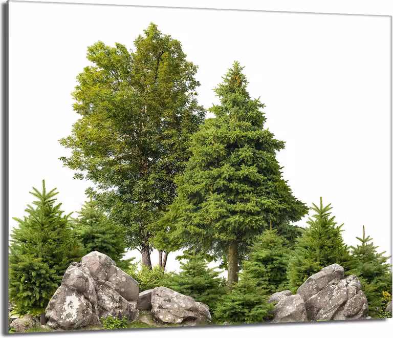 Piastra di copertura del piano cottura 60x52 Piastra di copertura del piano cottura in Vetroceramica, tagliere decorativo, verde foresta