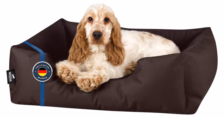 Letto per cani BedDog ZARA: cuscino per cani con rivestimento lavabile, cuccia per cani, divanetto per cani, CHOCOLATE (marrone), (M) ca. 70x55x18 cm