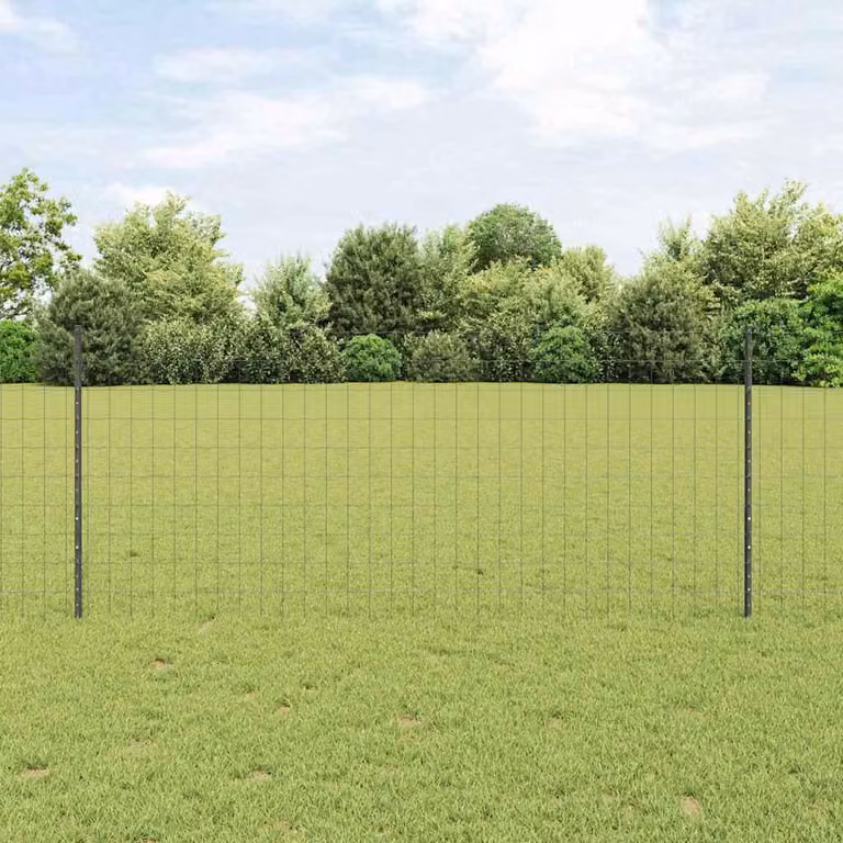 Maison Exclusive - Recinzione con Posto Grigio 1 x 10 m Acciaio e PVC