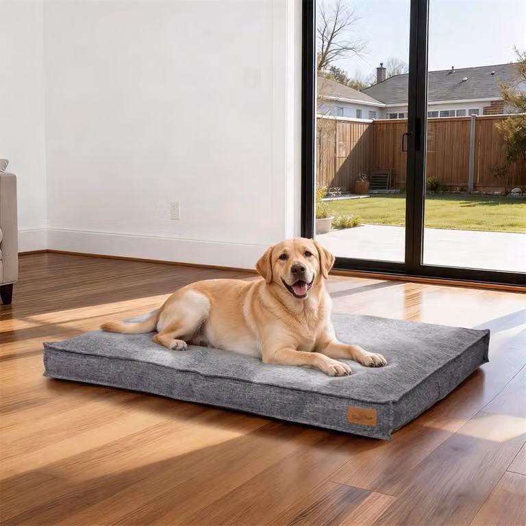 WISFOR Lettino per cani, divanetto per cani, cuscino per cani, antiscivolo, rivestimento sfoderabile e lavabile, XL: 103 x 69 x 10 cm, grigio