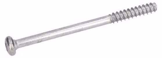 Vite a testa bombata Torx per Martelli perforatori BOSCH PROFESSIONAL - 1613435041
