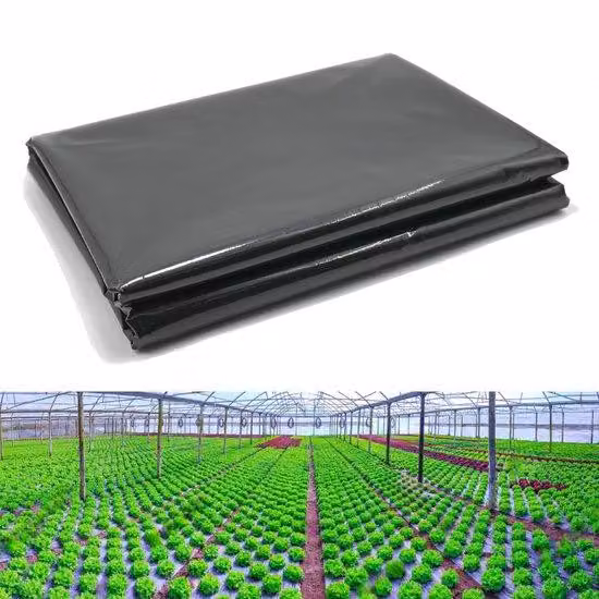 Telo di plastica impermeabile 2 m x 10 m, nero - Resistente alle intemperie e all'acqua - Telo in PE da 4 mil per uso interno ed esterno, diserbo e copertura.