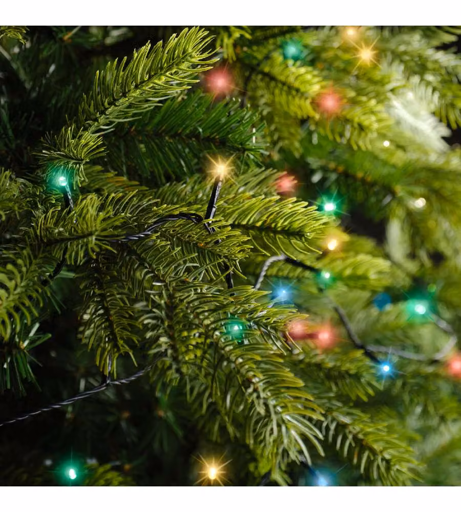 Lumineo Luci Albero Natale 240 LED Multicolore Twinkle - 1800cm