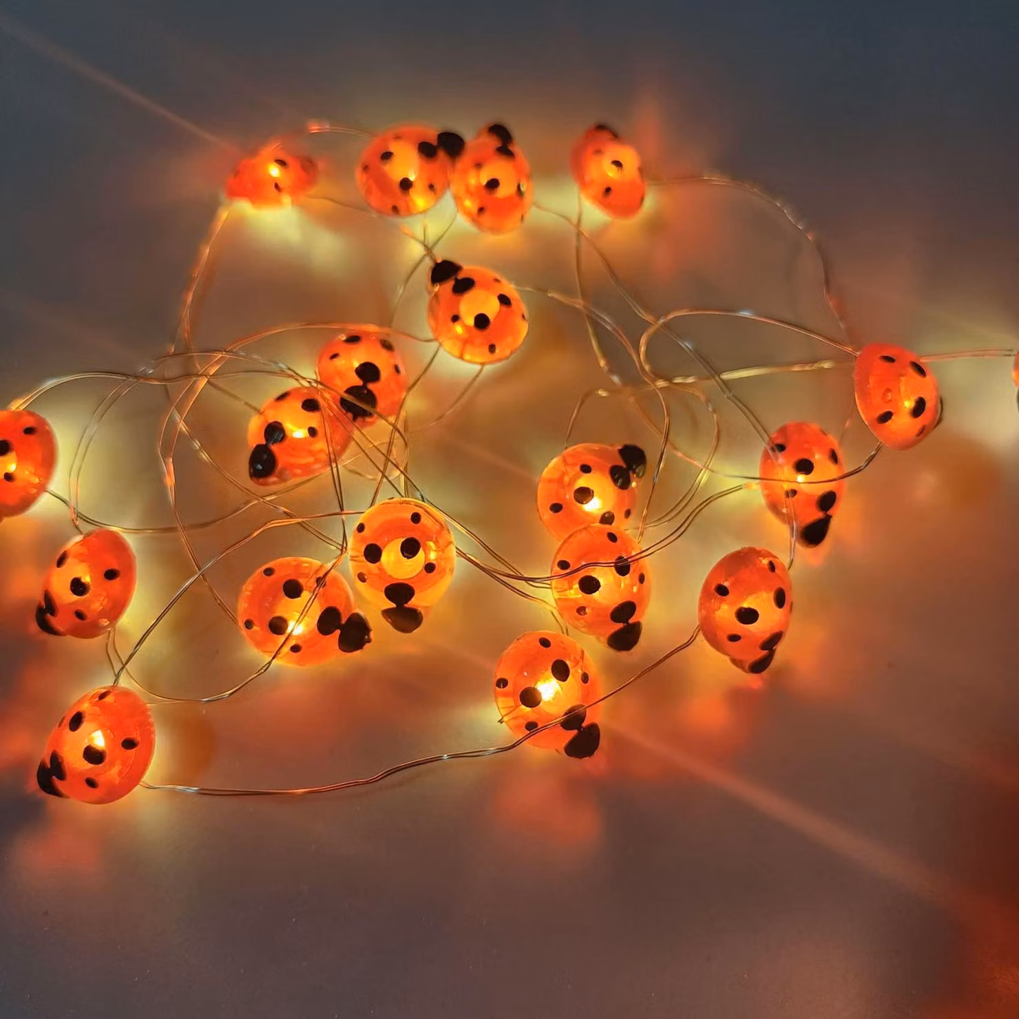 Catena luminosa a forma di coccinella, 30 LED, 2,9 metri di lunghezza, alimentata a batteria, luce bianco caldo