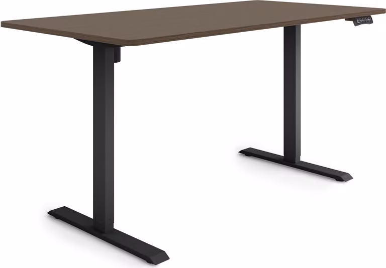 ESMART Germany ETX-121BE 160 x 80 cm Decorazione ebano Scrivania ergonomica in piedi/seduta Regolabile elettricamente in altezza in modo continuo 73,5 - 123,5 cm 3x memoria Porta di ricarica USB Promemoria attività Avvio/arresto graduale