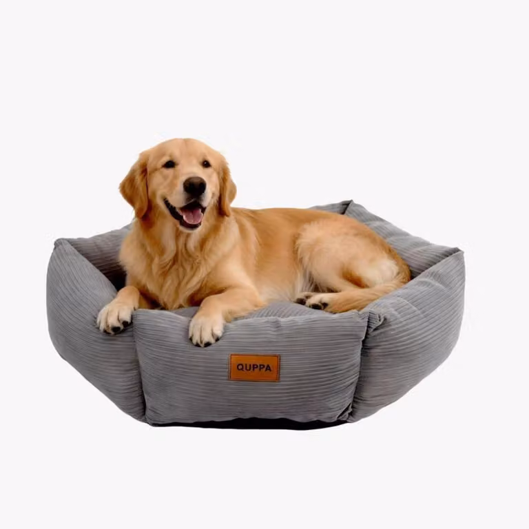 Cuccia per cani, cuccia per gatti, forma a ciambella con bordo alto, lavabile, antiscivolo, rotonda, grigia, 75 x 15 cm