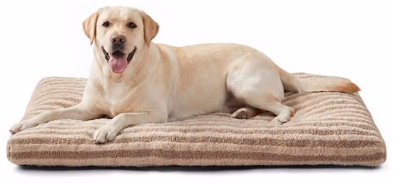 Cuccia per cani, 90x60x9 cm, marrone, lavabile, morbida, ortopedica, antiscivolo