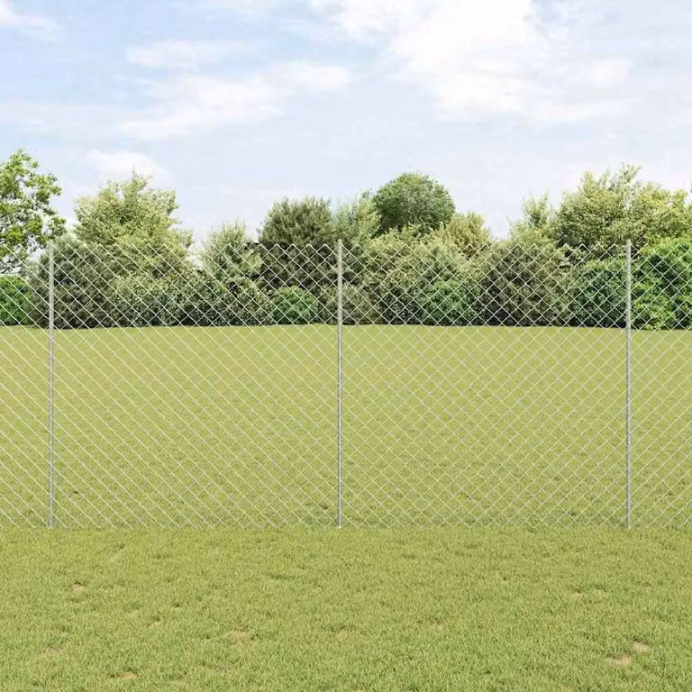 Maison Exclusive - Recinzione con Posto Argento 1,6 x 10 m Acciaio