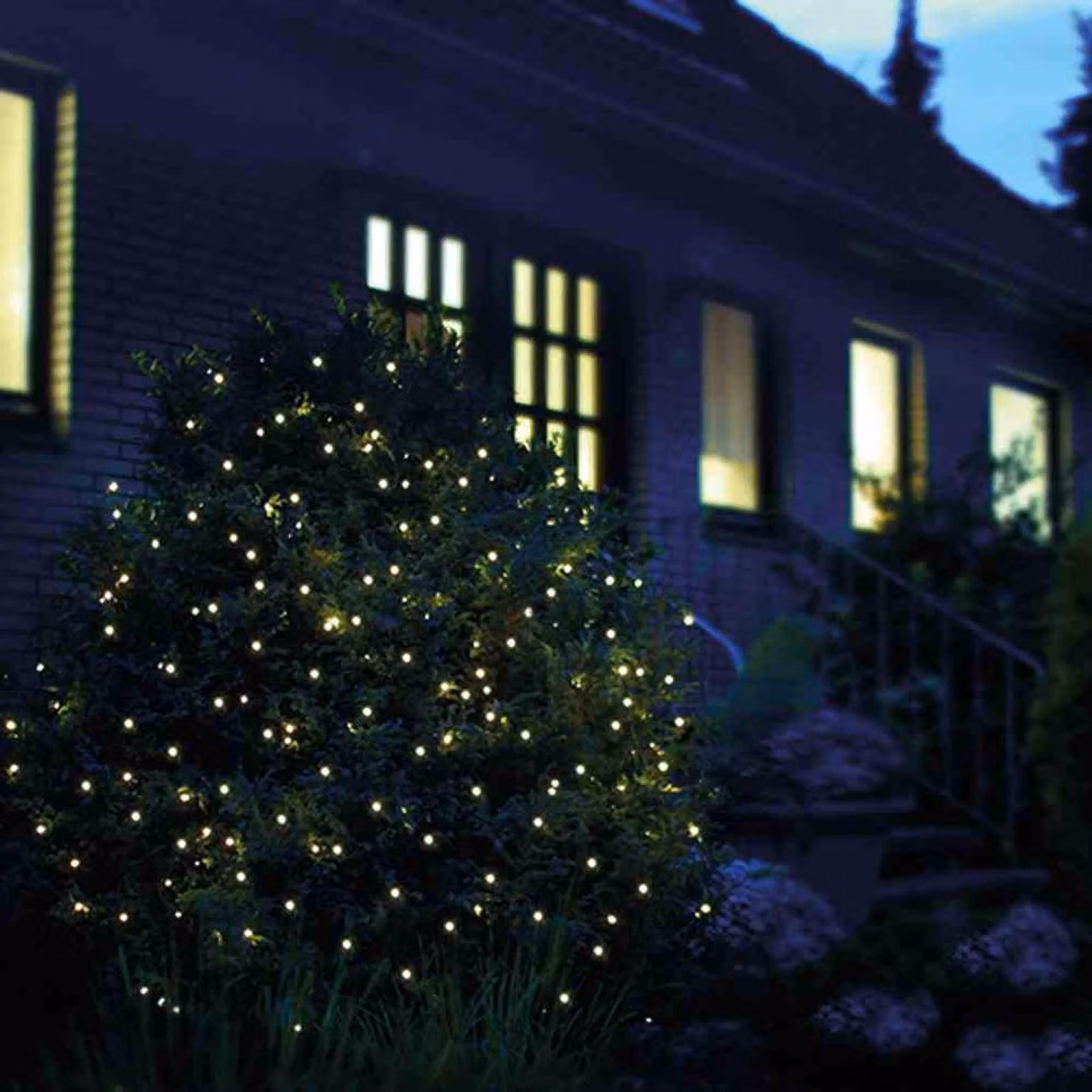 F-H-S Rete luminosa a LED 160LED bianco caldo IP 44 adattatore per esterni 3,2x1,5xm verde