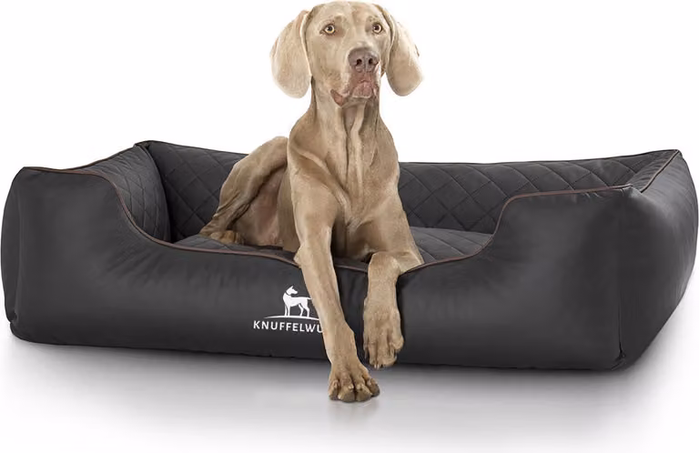 Knuffelwuff letto ortopedico per cani Madison in Pelle finta trapuntata al laser oversize XXXL 155 x 105 cm nero