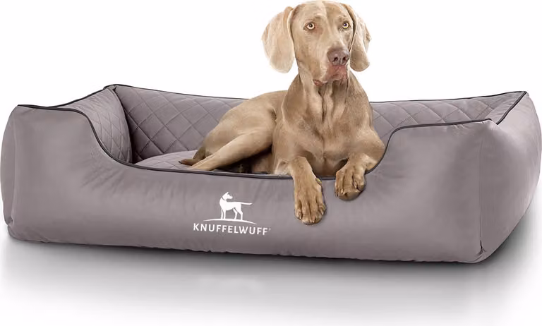Knuffelwuff - Cuccia ortopedica per cani Madison in Pelle finta trapuntata al laser, taglia extra large XXXL 155 x 105 cm, grigio