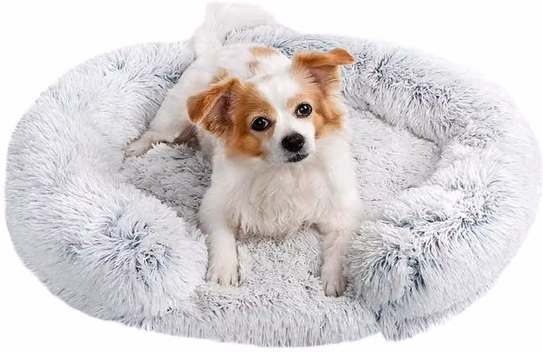 Azomor®: lettino ortopedico rotondo per cani con cuscino rimovibile per un comfort ottimale